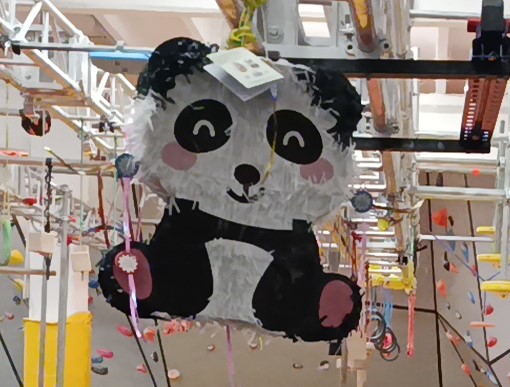 Petreceri pentru copii București – România Parkour